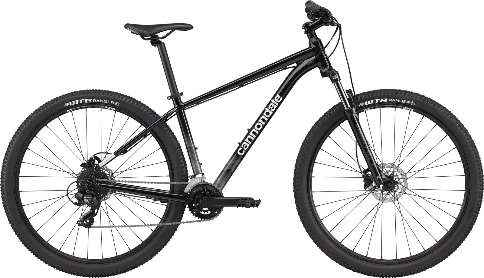 Cannondale Trail 7D 29  - Review