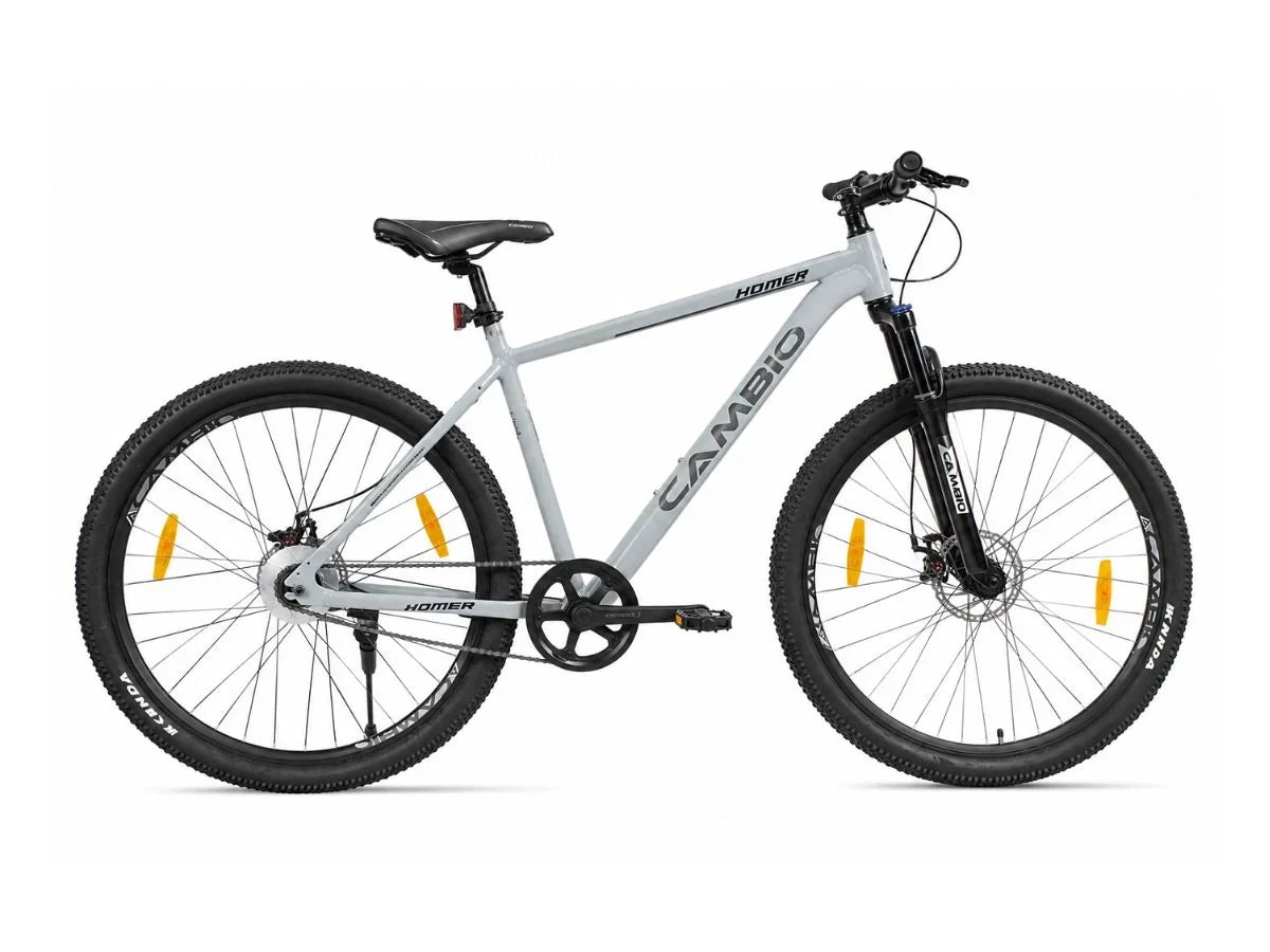Cambio 29 Homer SS FS D/Disc Bicycle - Text Review