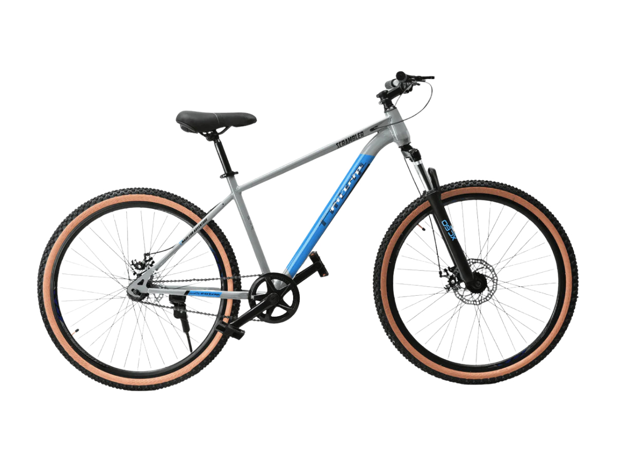 FitTrip Scrambler 29 Single Speed - Text Review