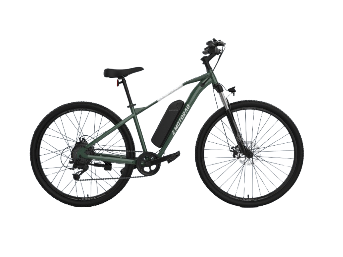 EMotorad T-Rex Air 29 - Text Review