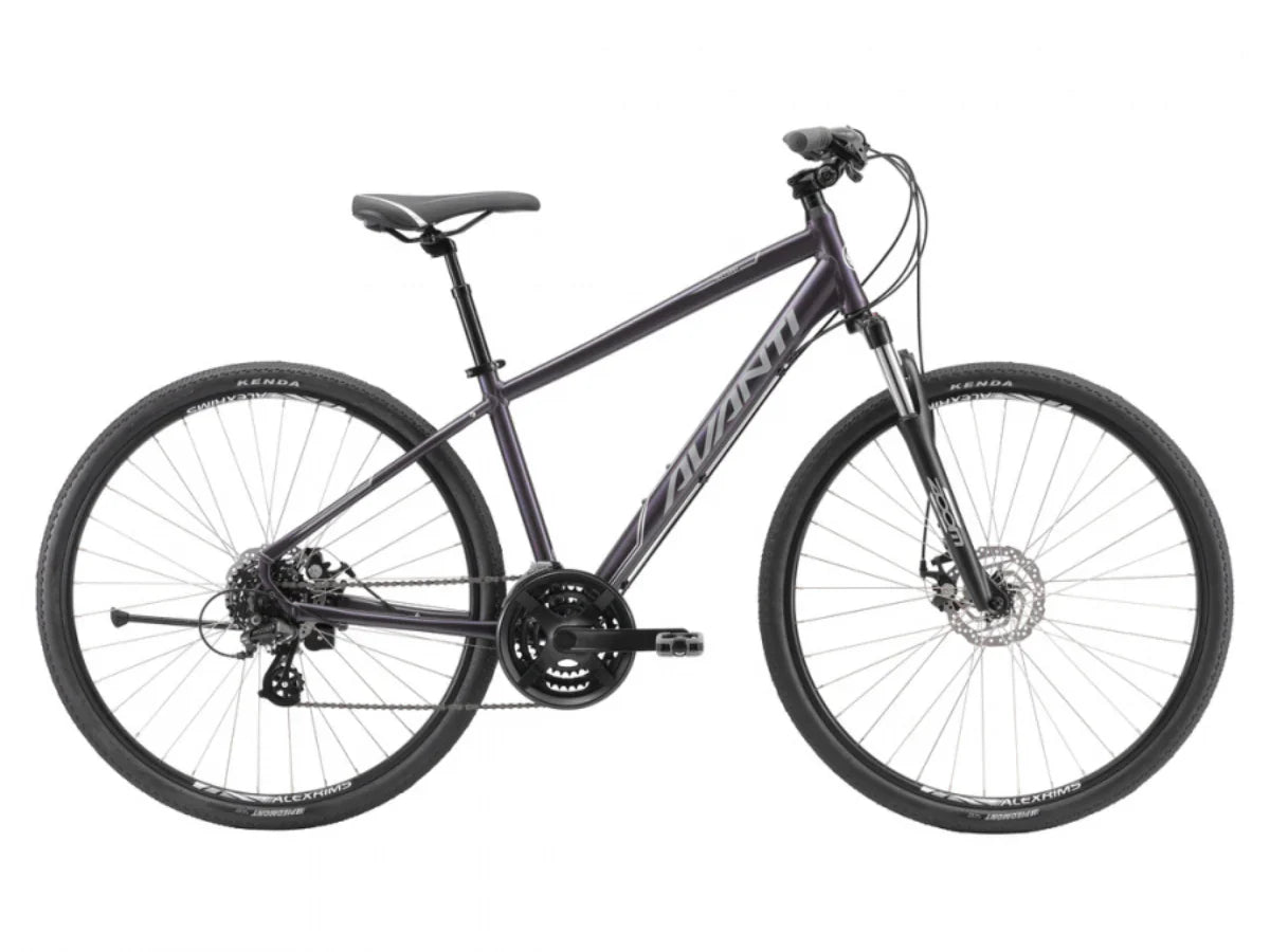 Avanti Discovery MS 1 - Text Review