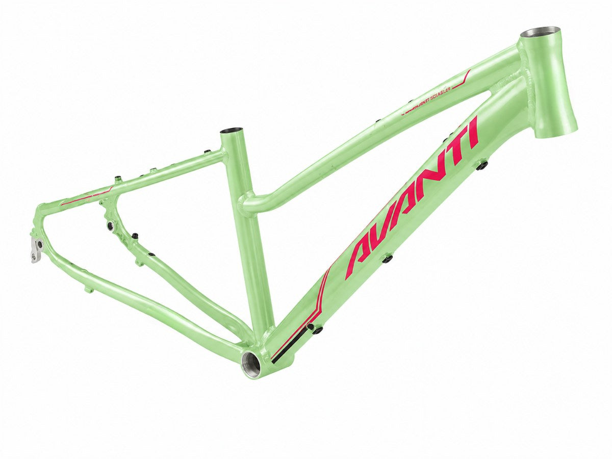 Avanti Discovery MS 1 Low