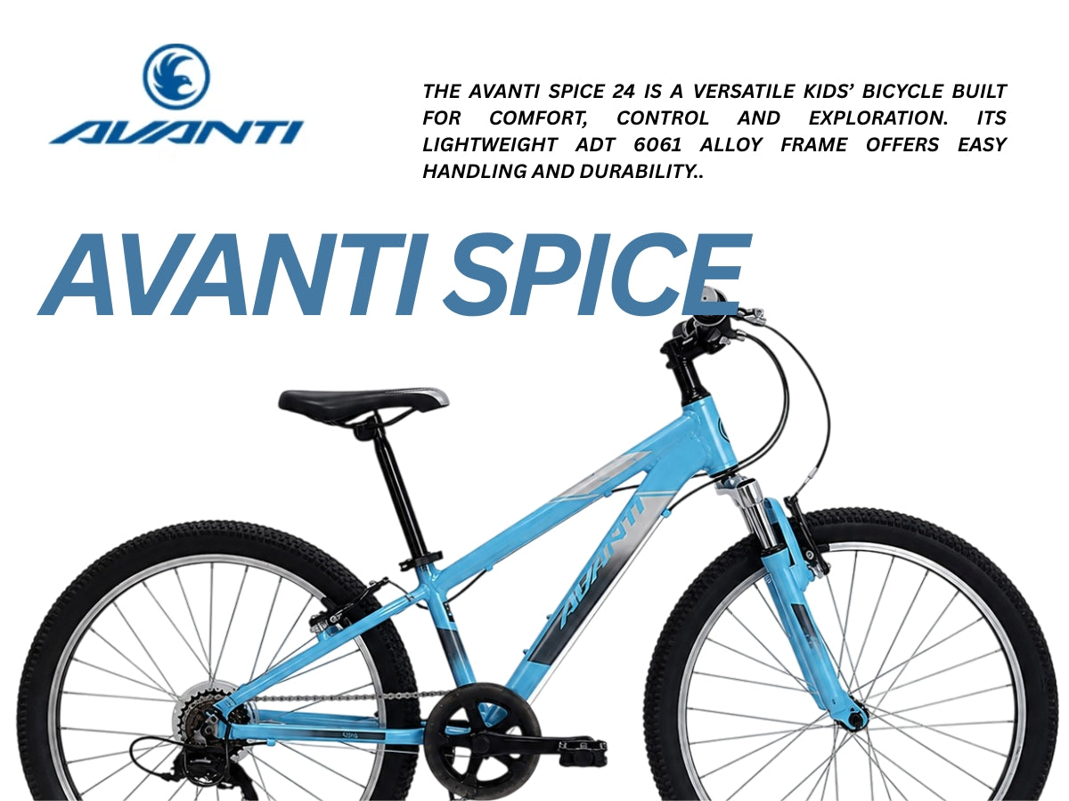 Avanti Spice 24