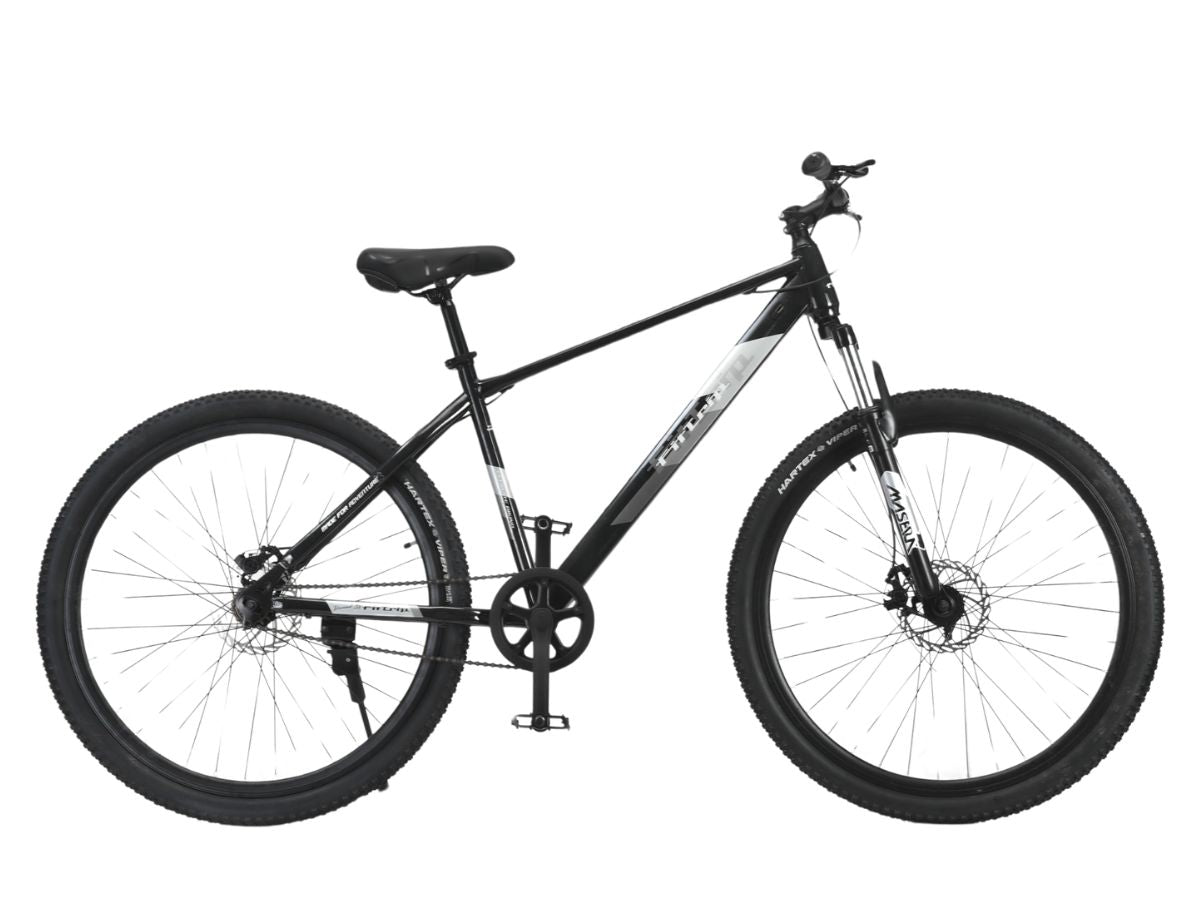 FitTrip 29 Dominator Single Speed Bicycle