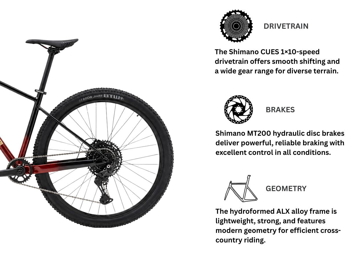 Polygon Xtrada 5 29"