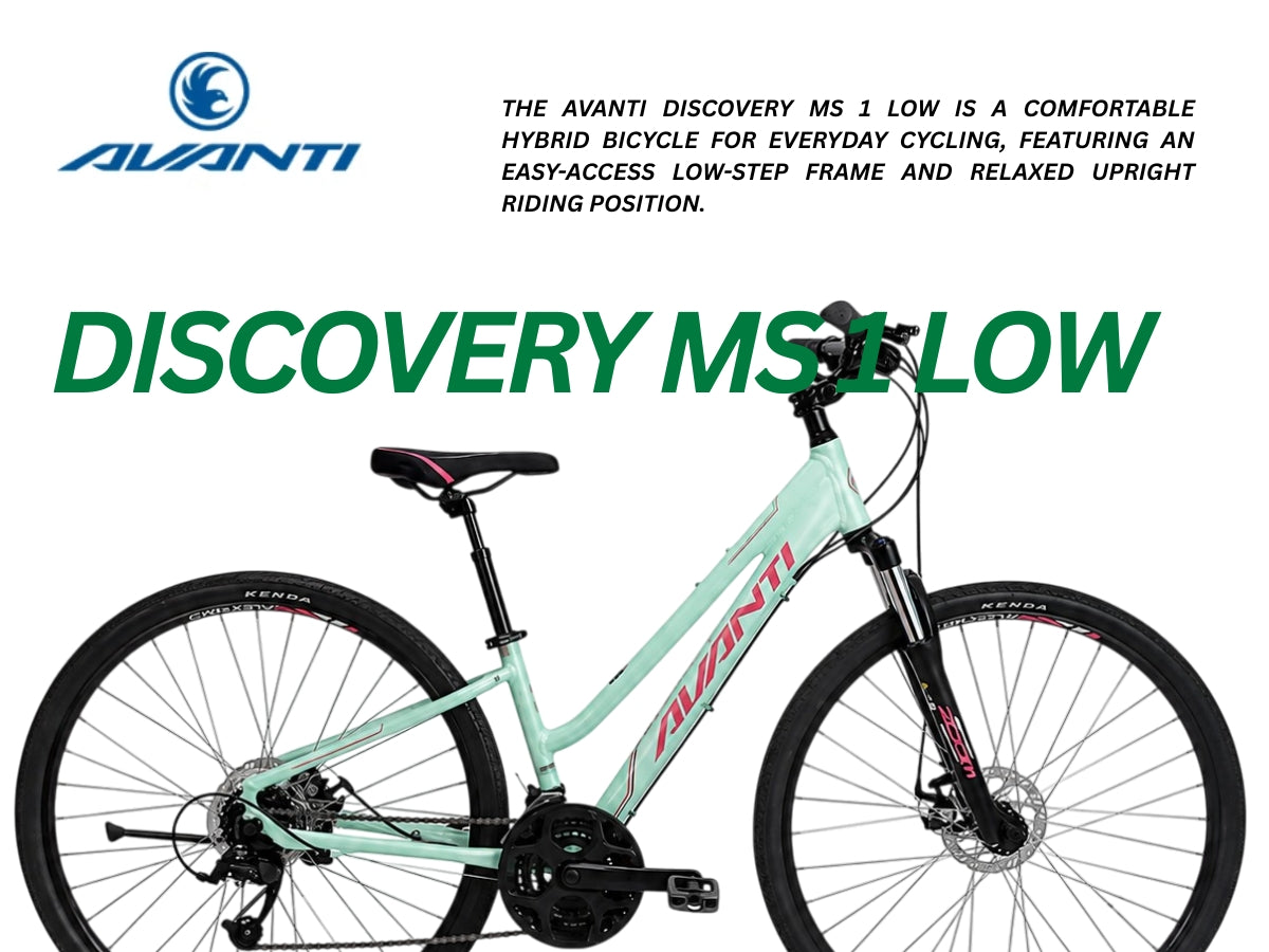 Avanti Discovery MS 1 Low