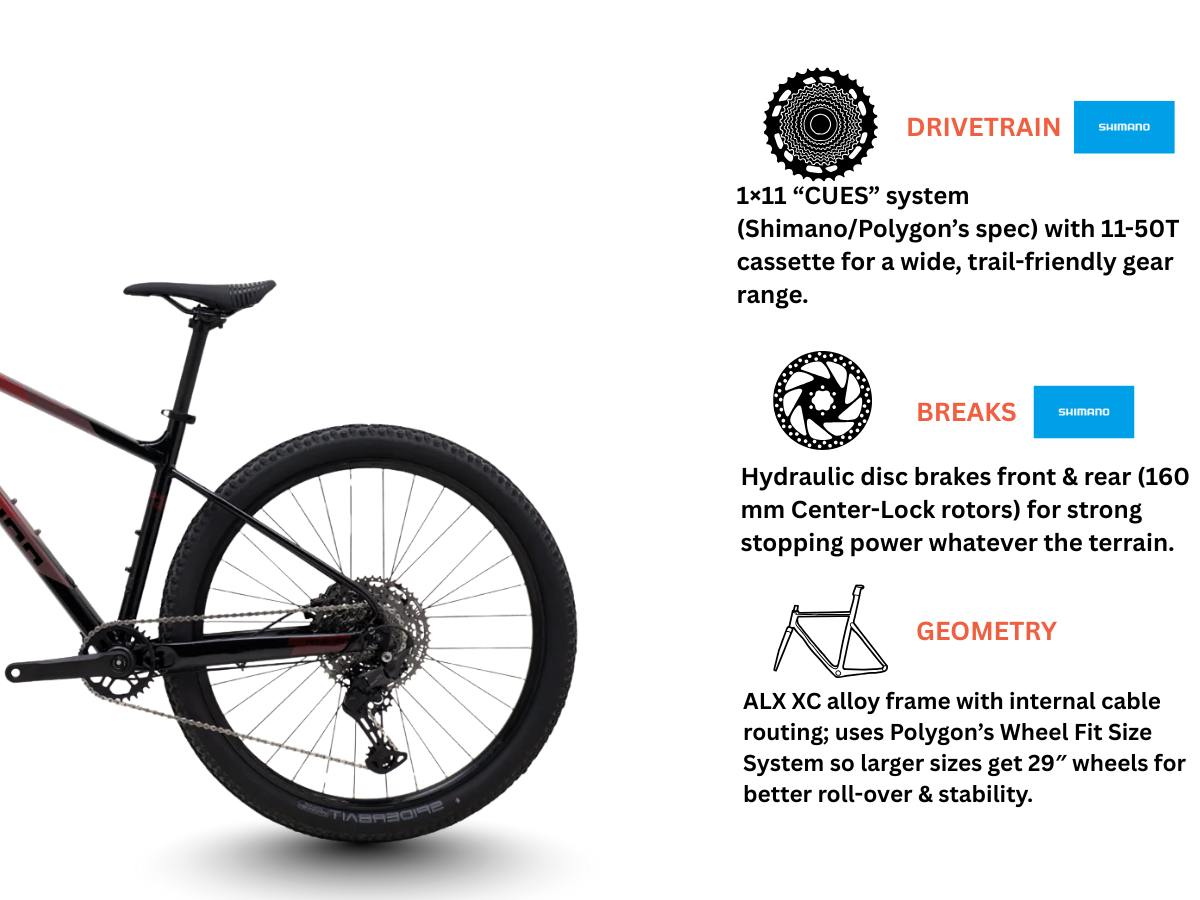 Polygon Xtrada 6 LG 29r (with Cues)