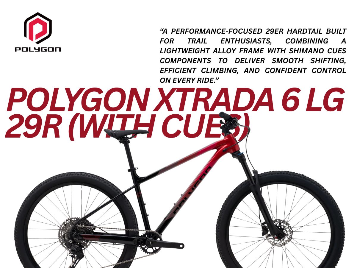 Polygon Xtrada 6 LG 27.5 (with Cues)