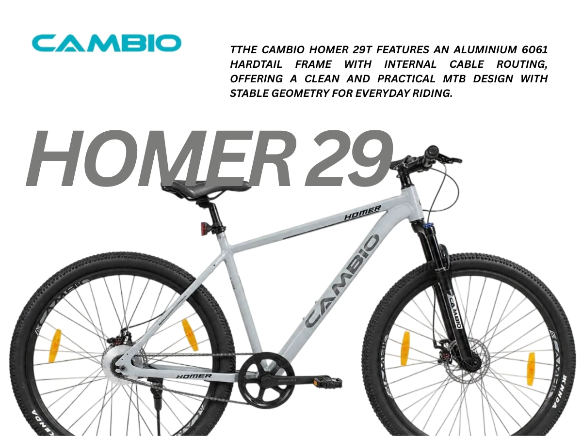 Cambio 29 Homer SS FS D/Disc Bicycle