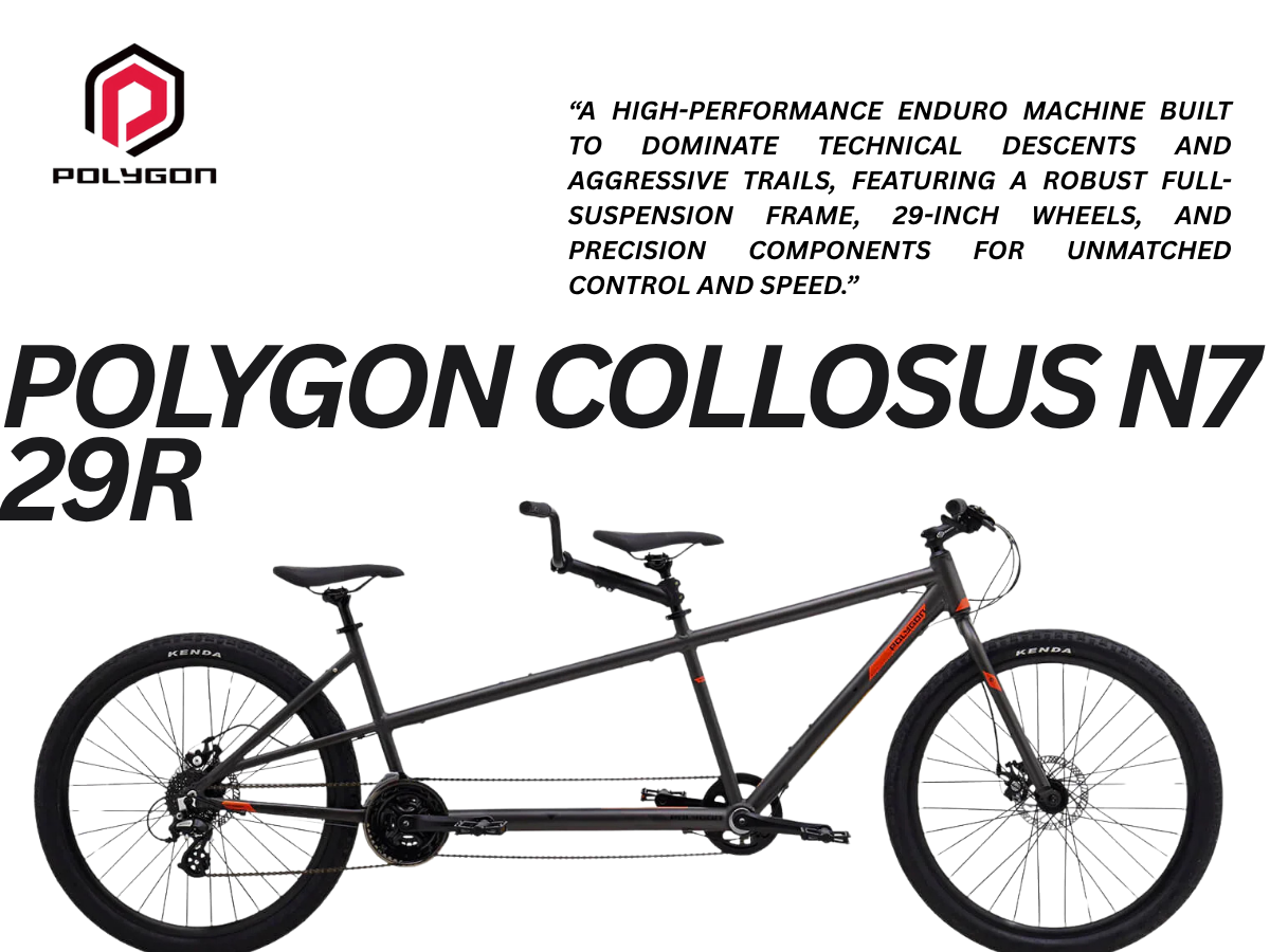 Polygon Collosus N7 29r