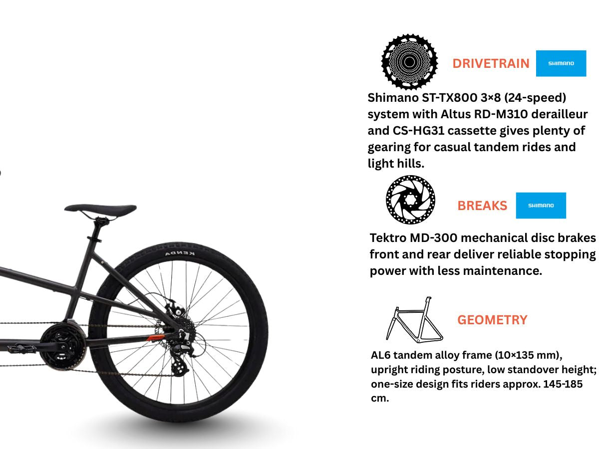 Polygon Impression AX Disc