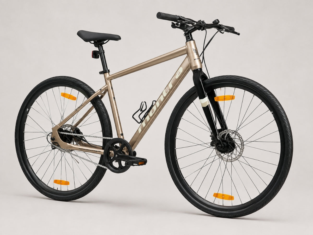 Montra Timba 700C SS D/Disc Bicycle