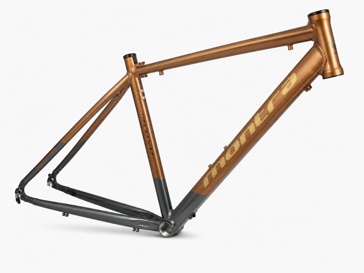 Montra Downtown 700C 21-Speed D/Disc Bicycle
