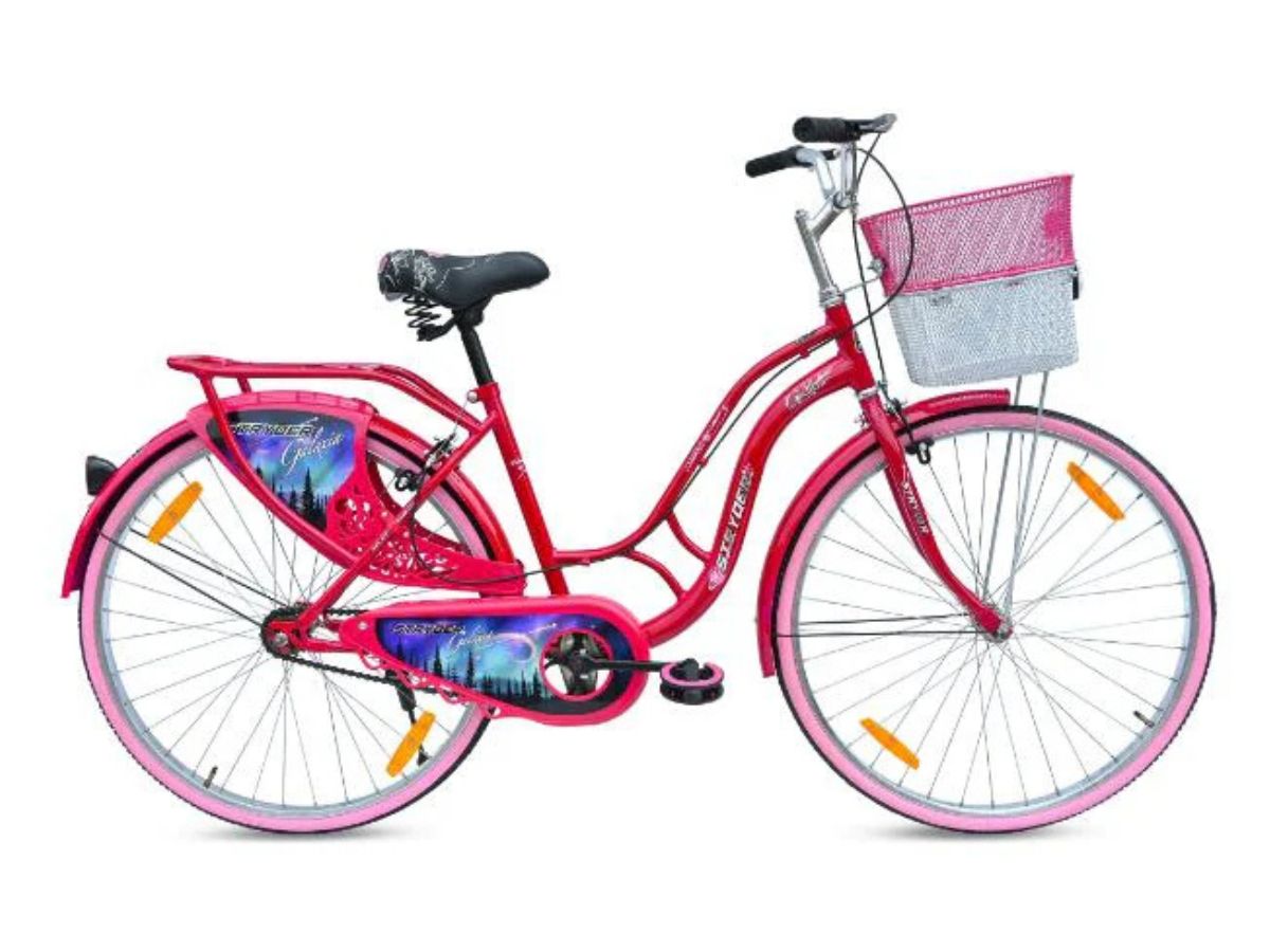 Stryder 26 Galaxia IC Bicycle