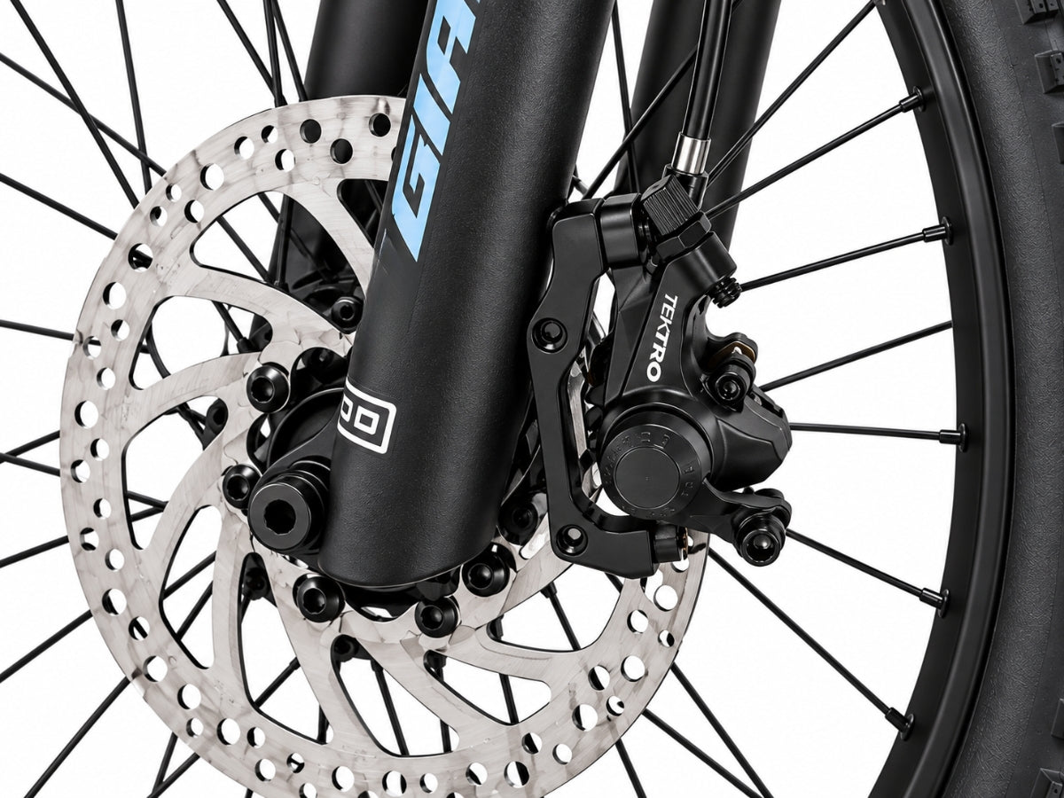 Giant Talon 29 4