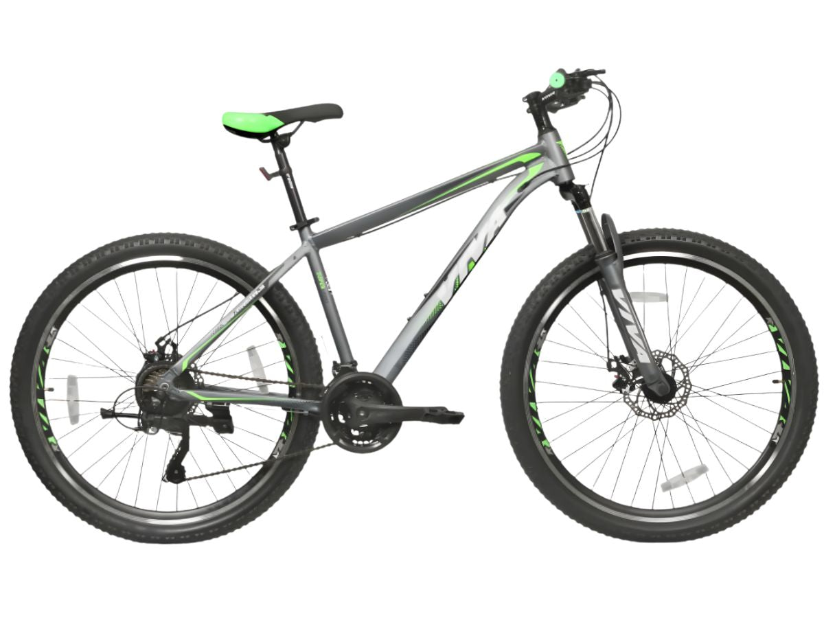 Viva 29 Speedo 21-Speed Bicycle