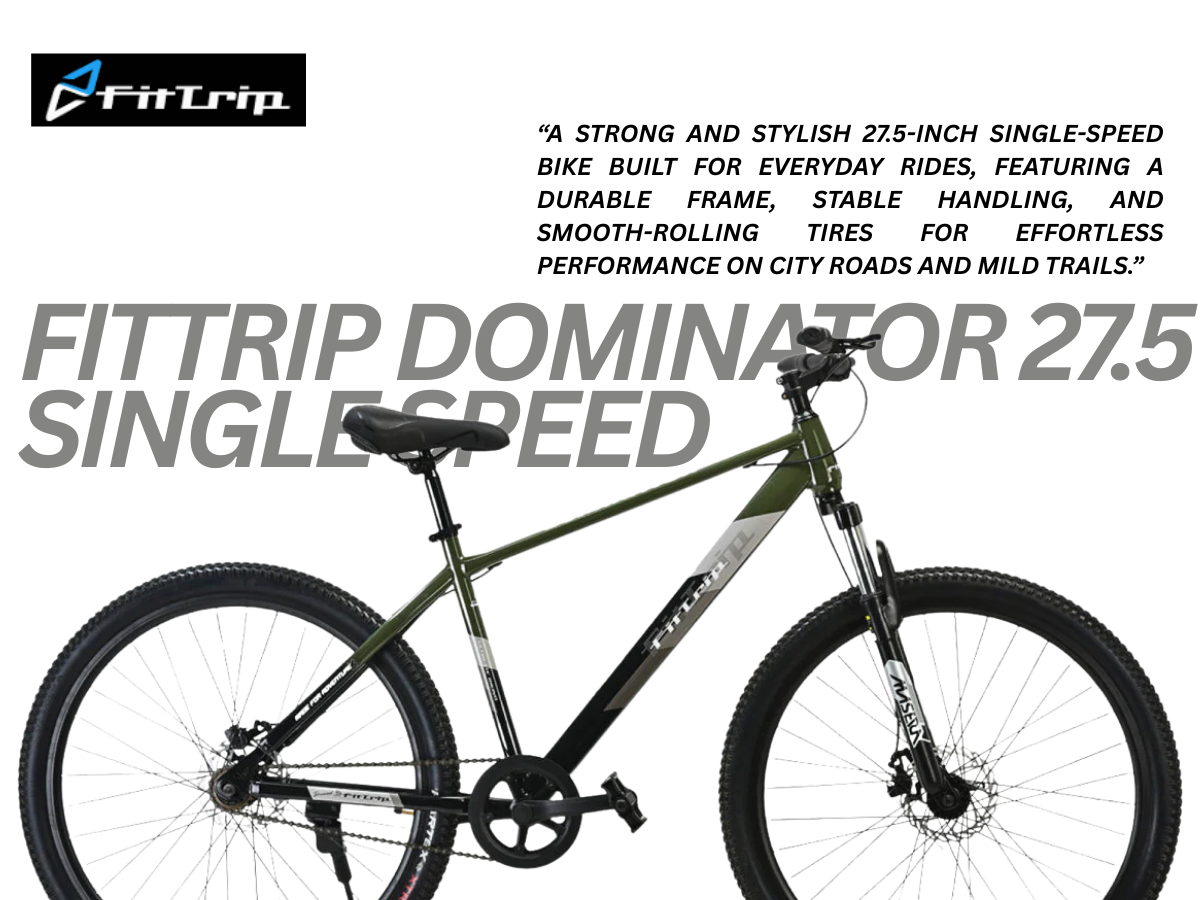 FitTrip Dominator 27.5 Single Speed