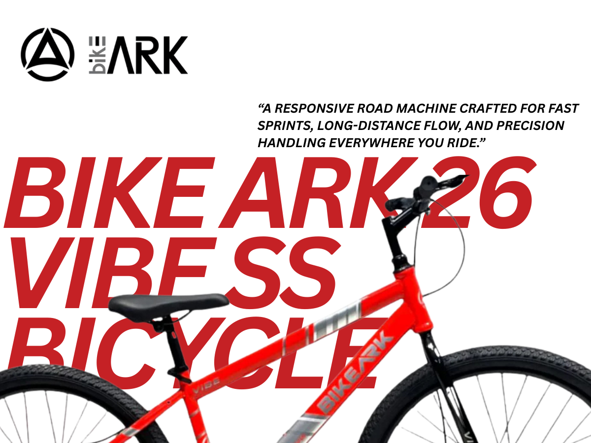 Bike Ark 26 Vibe SS Bicycle
