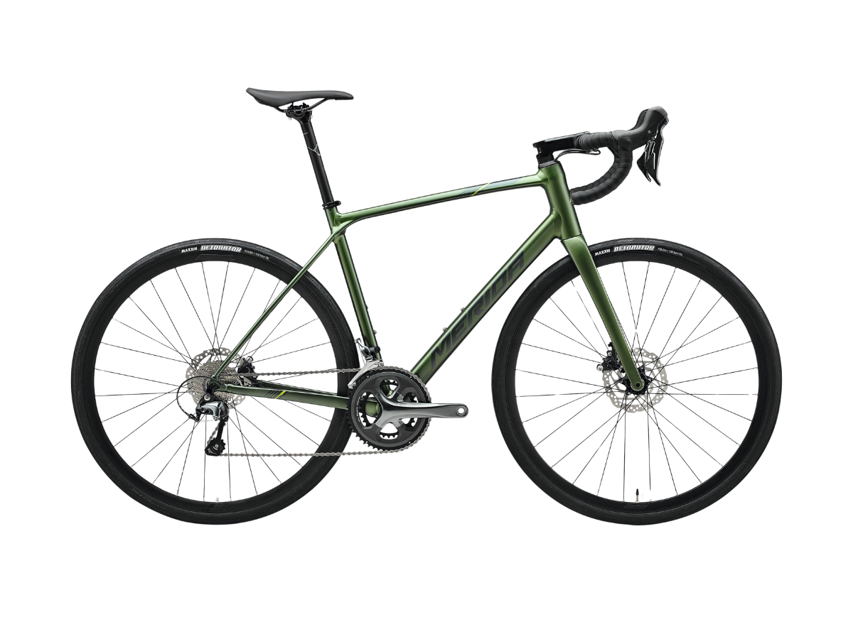 Merida Scultura Endurance 300 (2025)