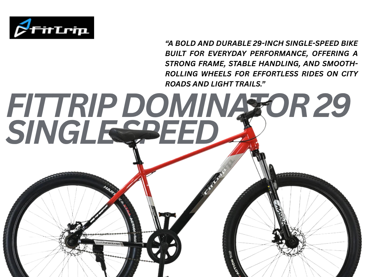 FitTrip Dominator 29 Single Speed