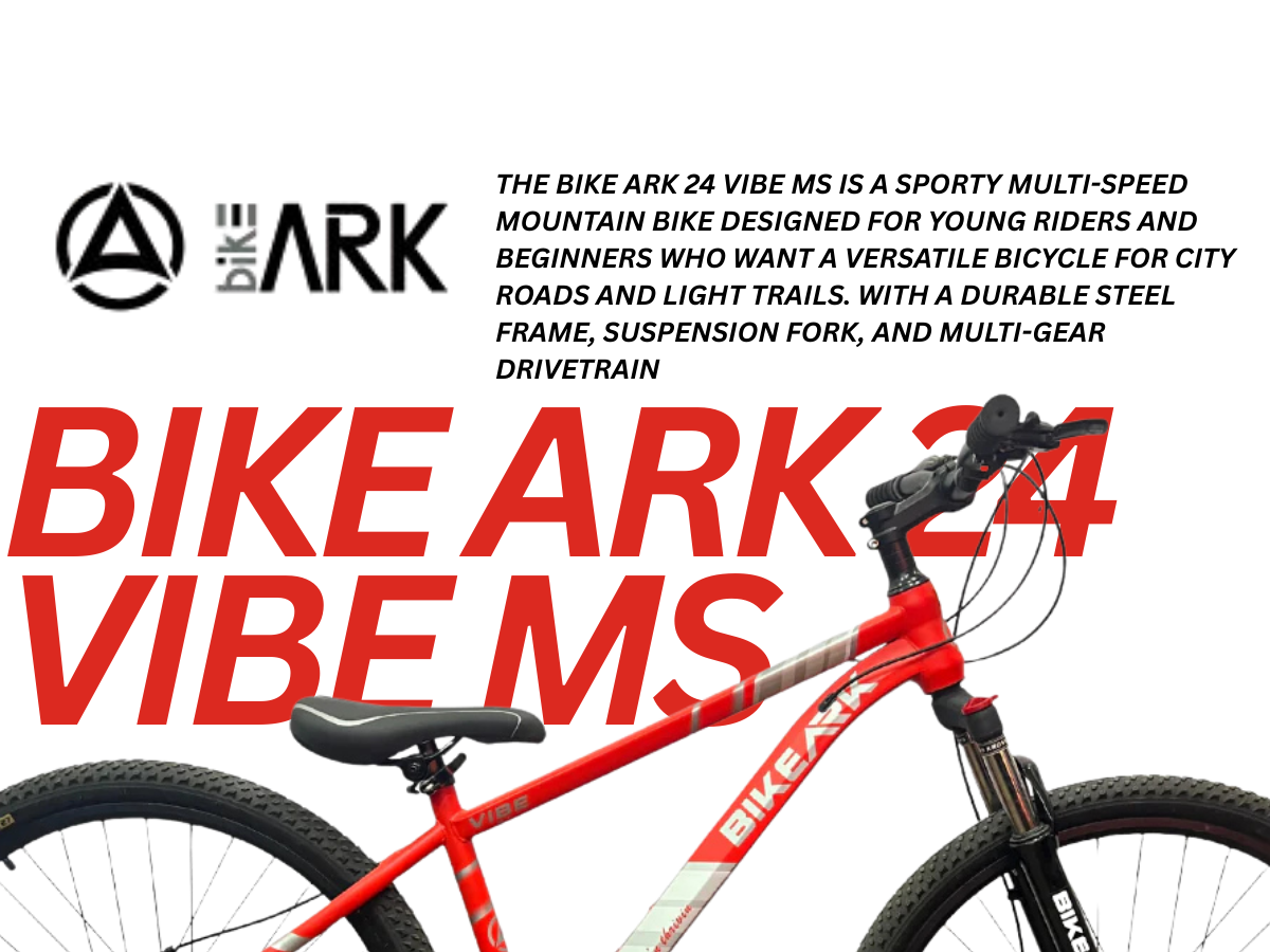 Bike Ark 24 Vibe MS Bicycle