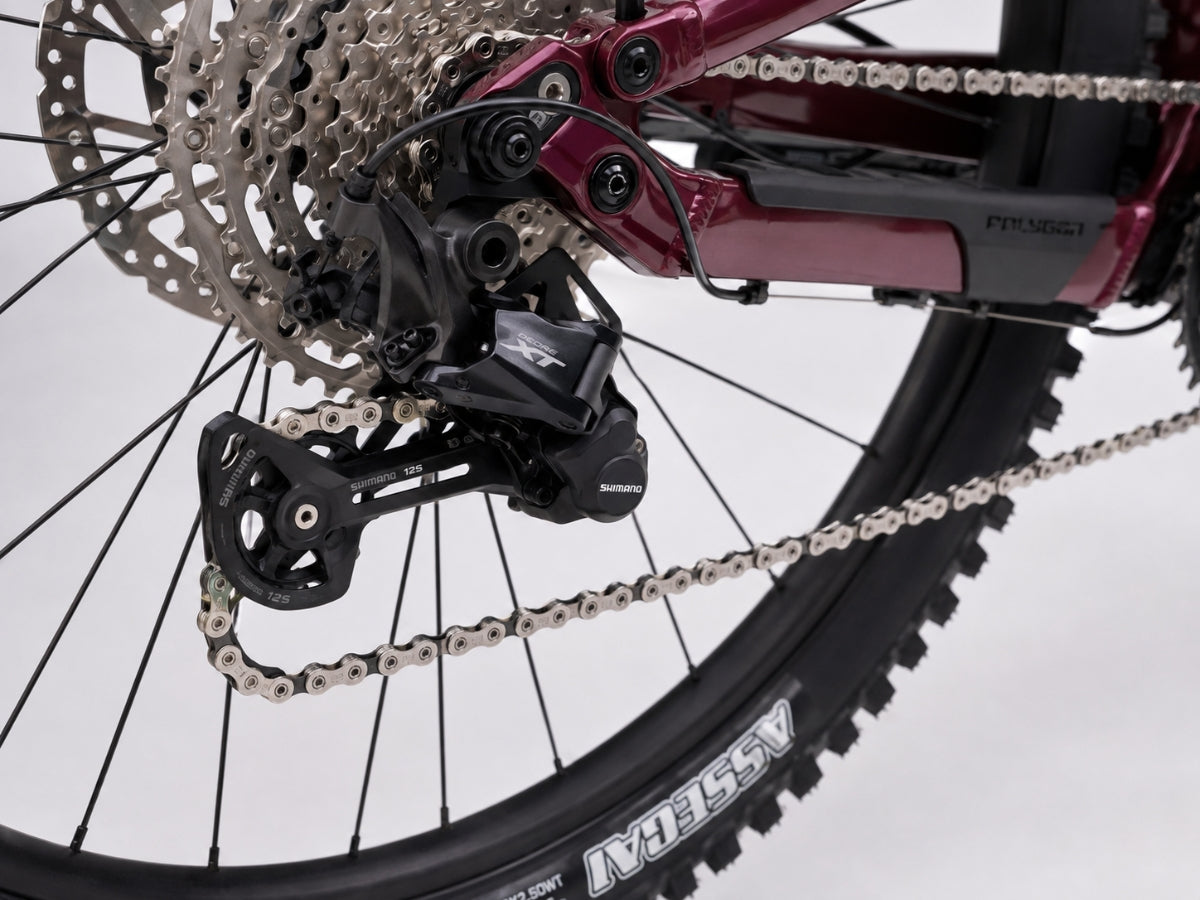 Polygon Collosus N9 29R