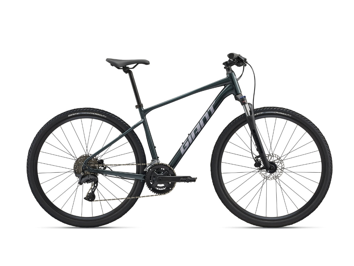 Giant Roam 2