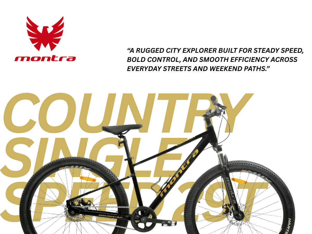 Montra Country Single Speed 29T