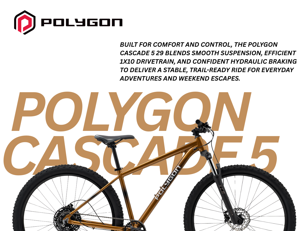 Polygon Cascade 5 29