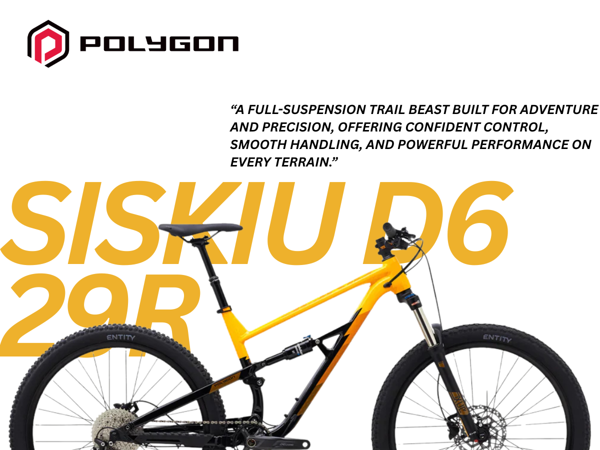 Polygon Siskiu D6  29r