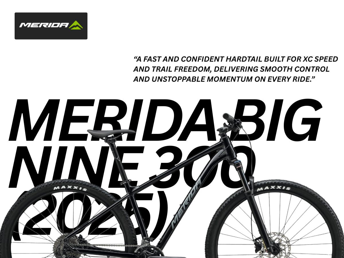 Merida Big.Nine 300 IV1