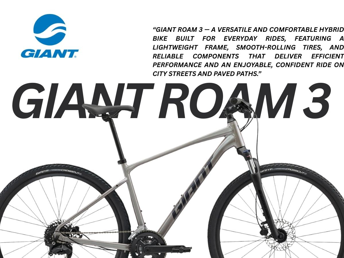 Giant Roam 3