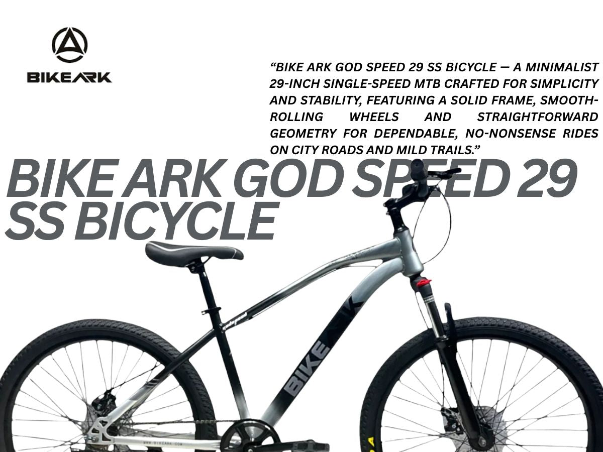 Bike Ark God Speed 29 SS Bicycle