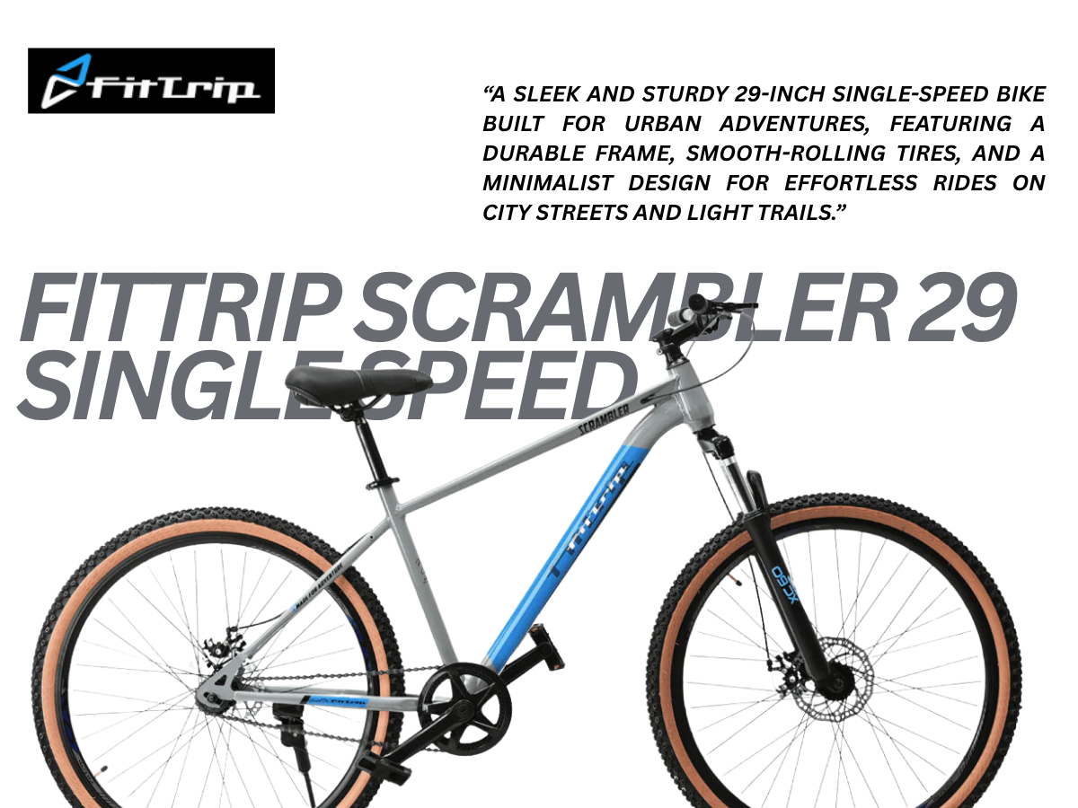 FitTrip Scrambler 29 Single Speed