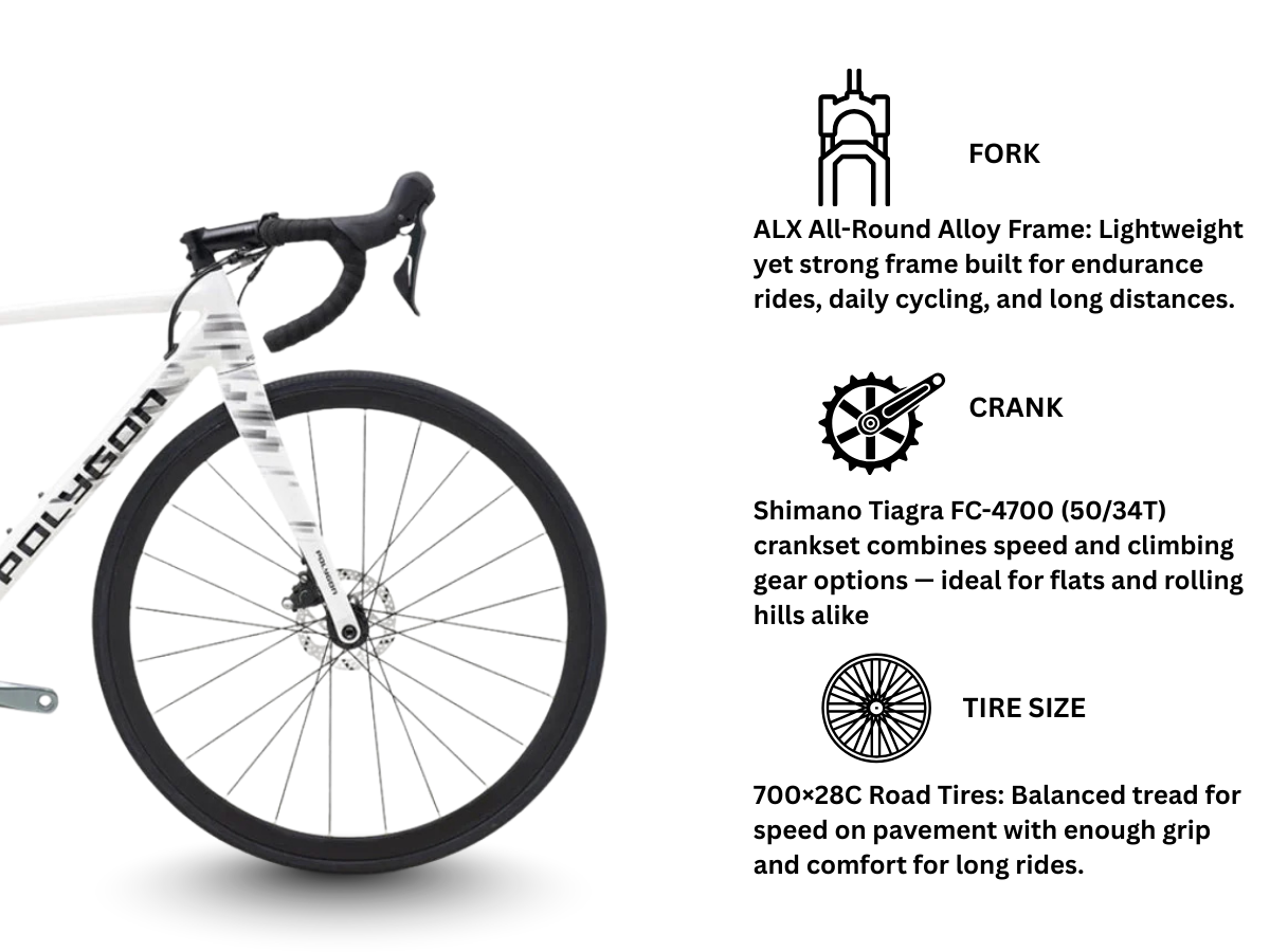 Polygon Strattos S4D