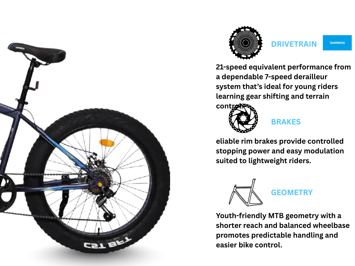 Cosmic 24 Fatso 7 Speed Disc Bicycle