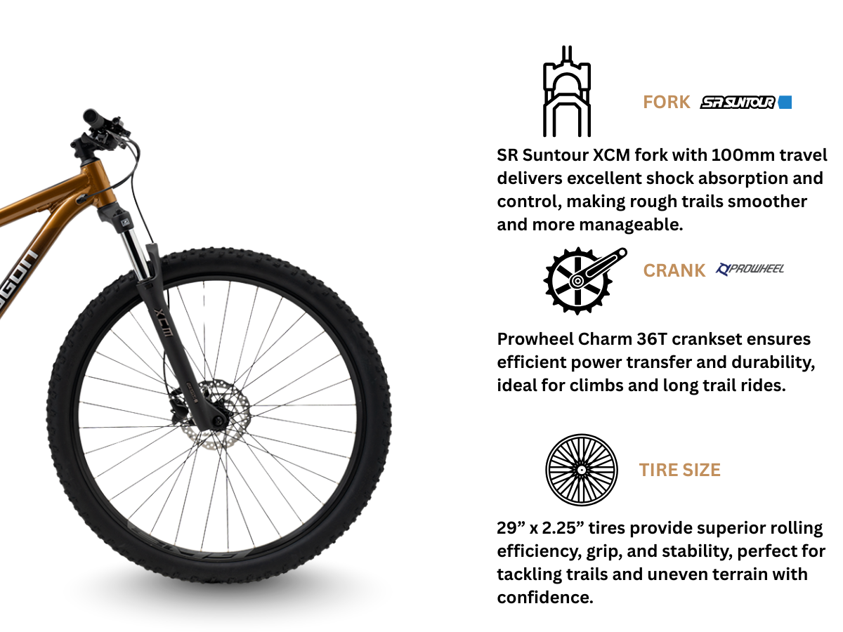 Polygon Cascade 5 29