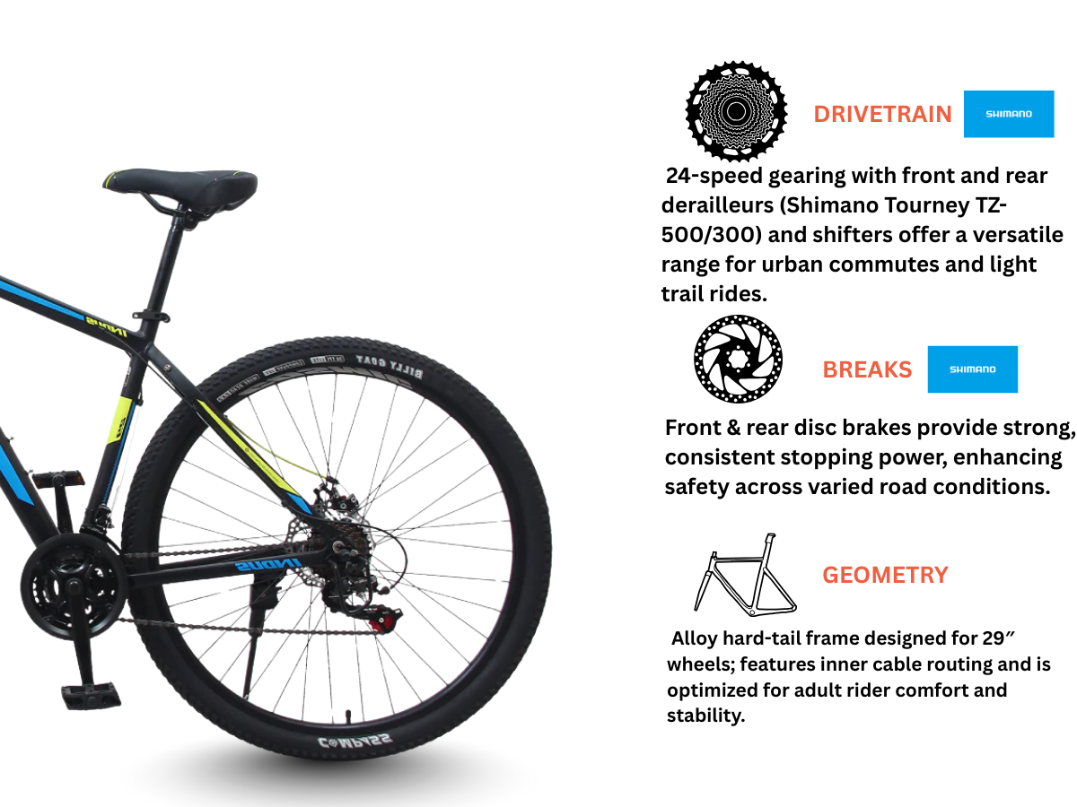 Cosmic 29 INDUS 24-Speed Dual Disc Bicycle