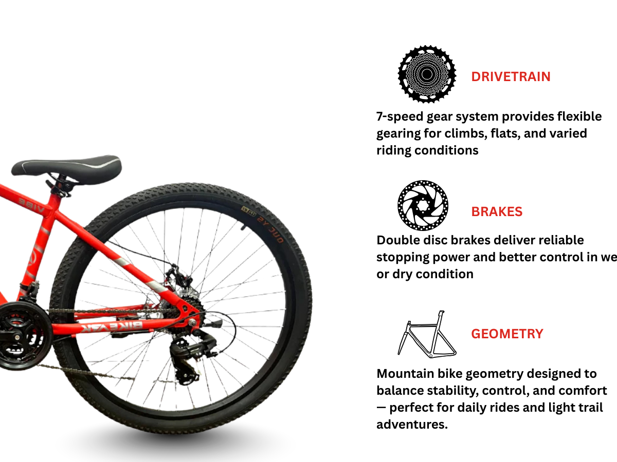 Bike Ark 24 Vibe MS Bicycle