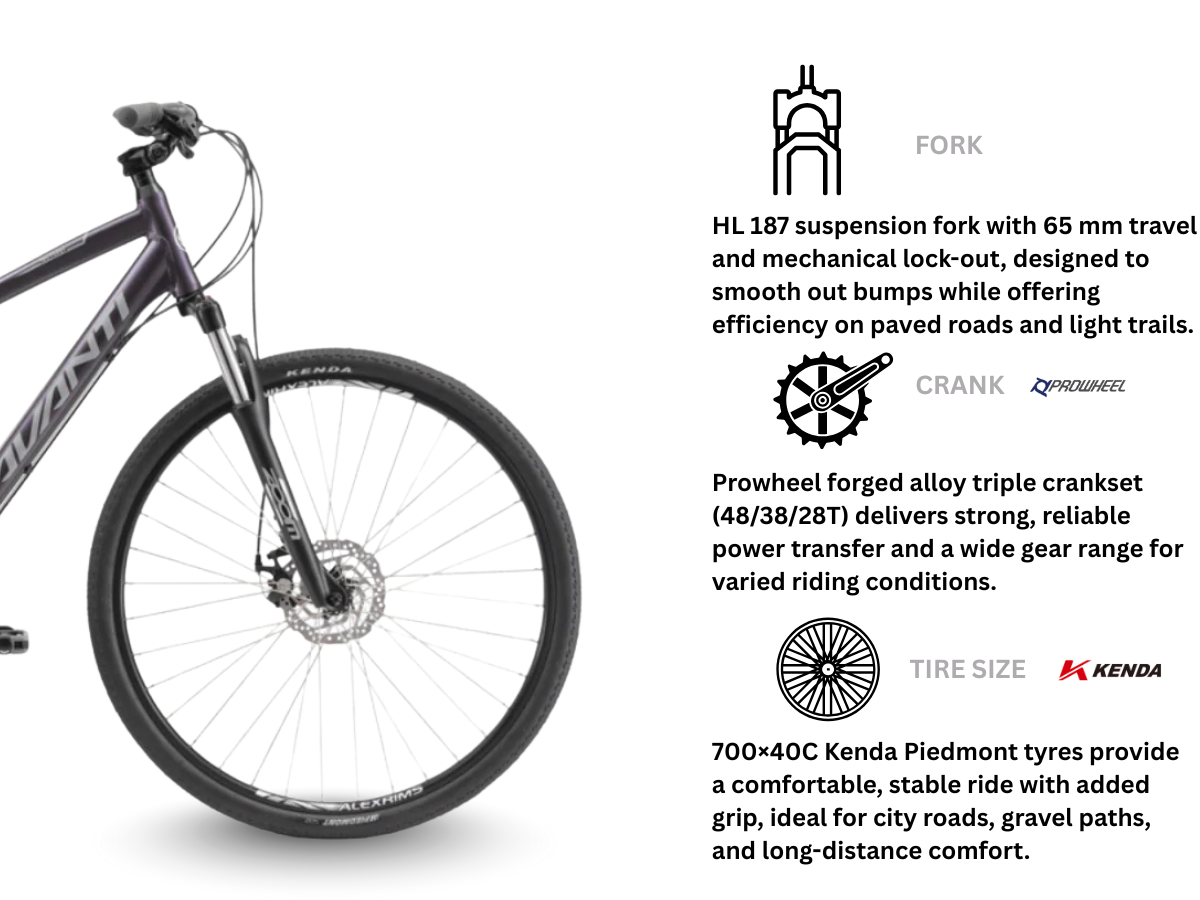 Avanti Discovery MS 1