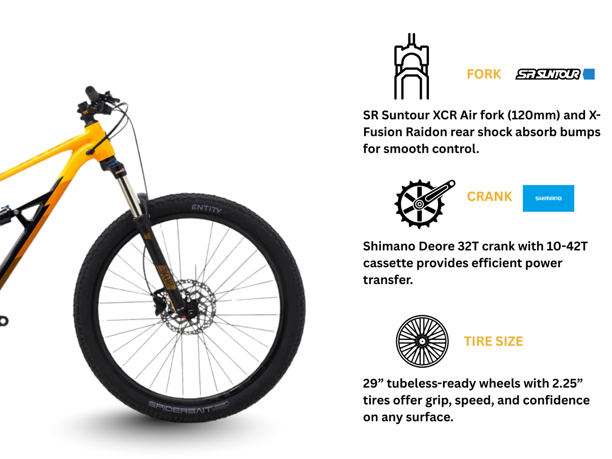 Polygon Siskiu D6  29r