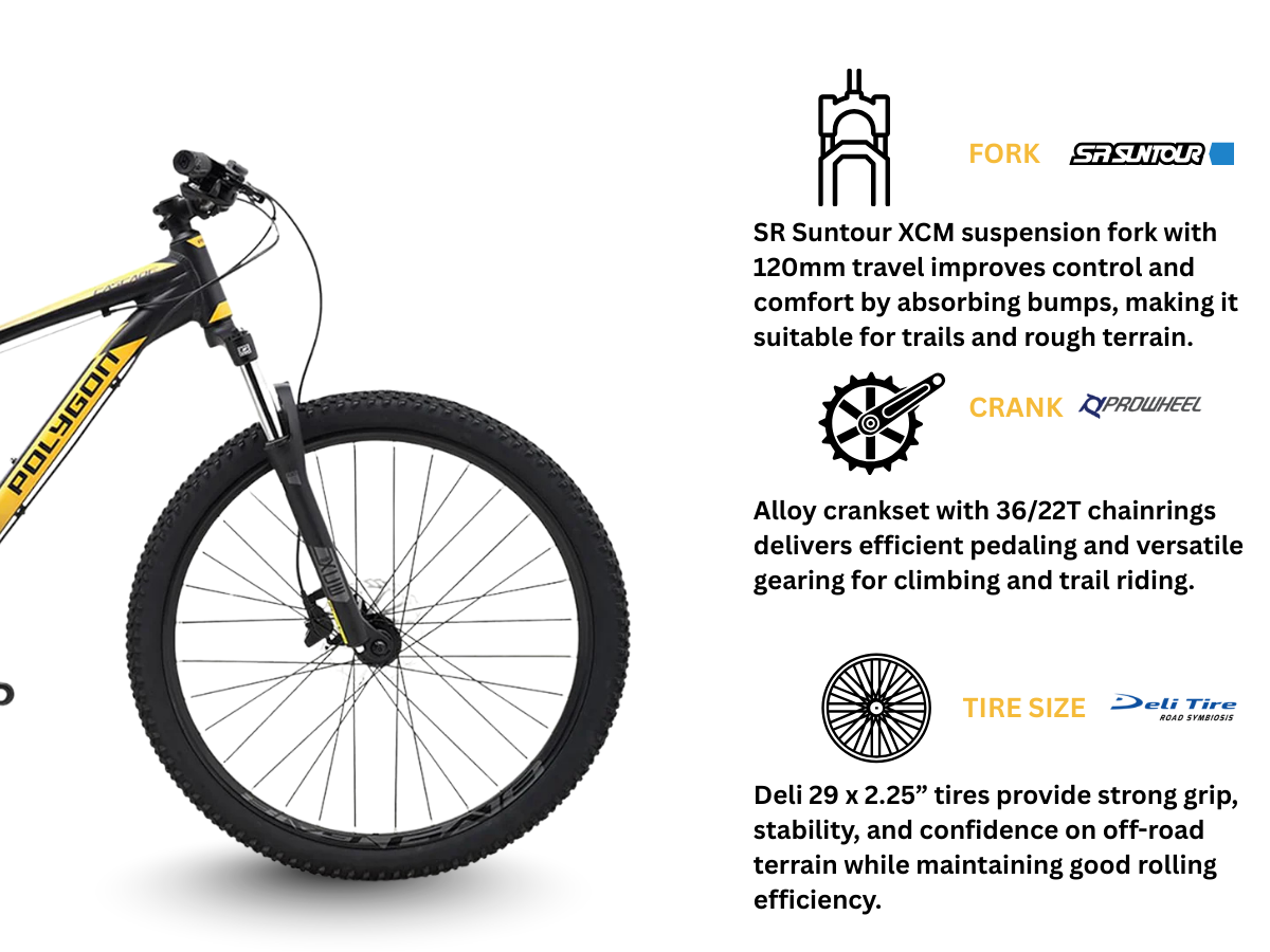Polygon Premier 5 29