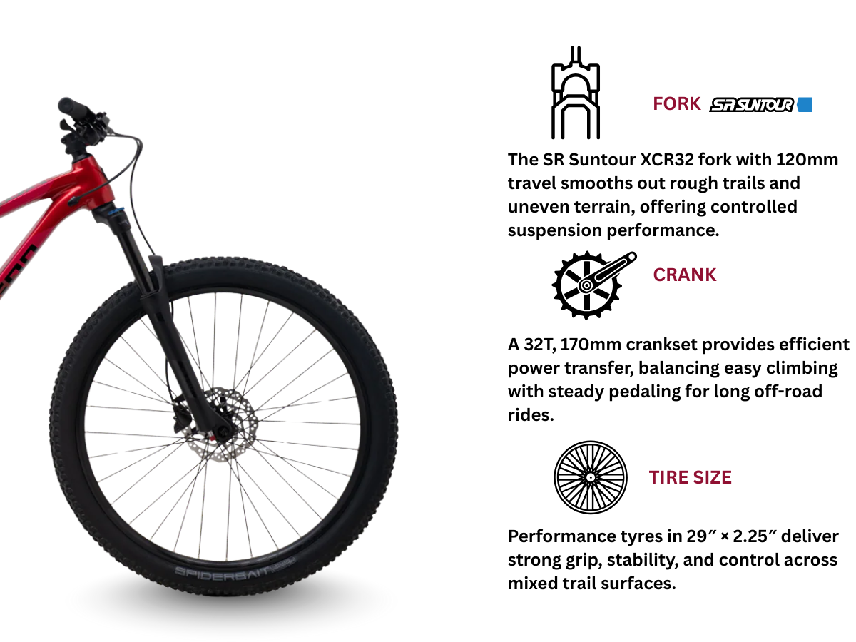 Polygon Xtrada 6 LG 29r (with Cues)