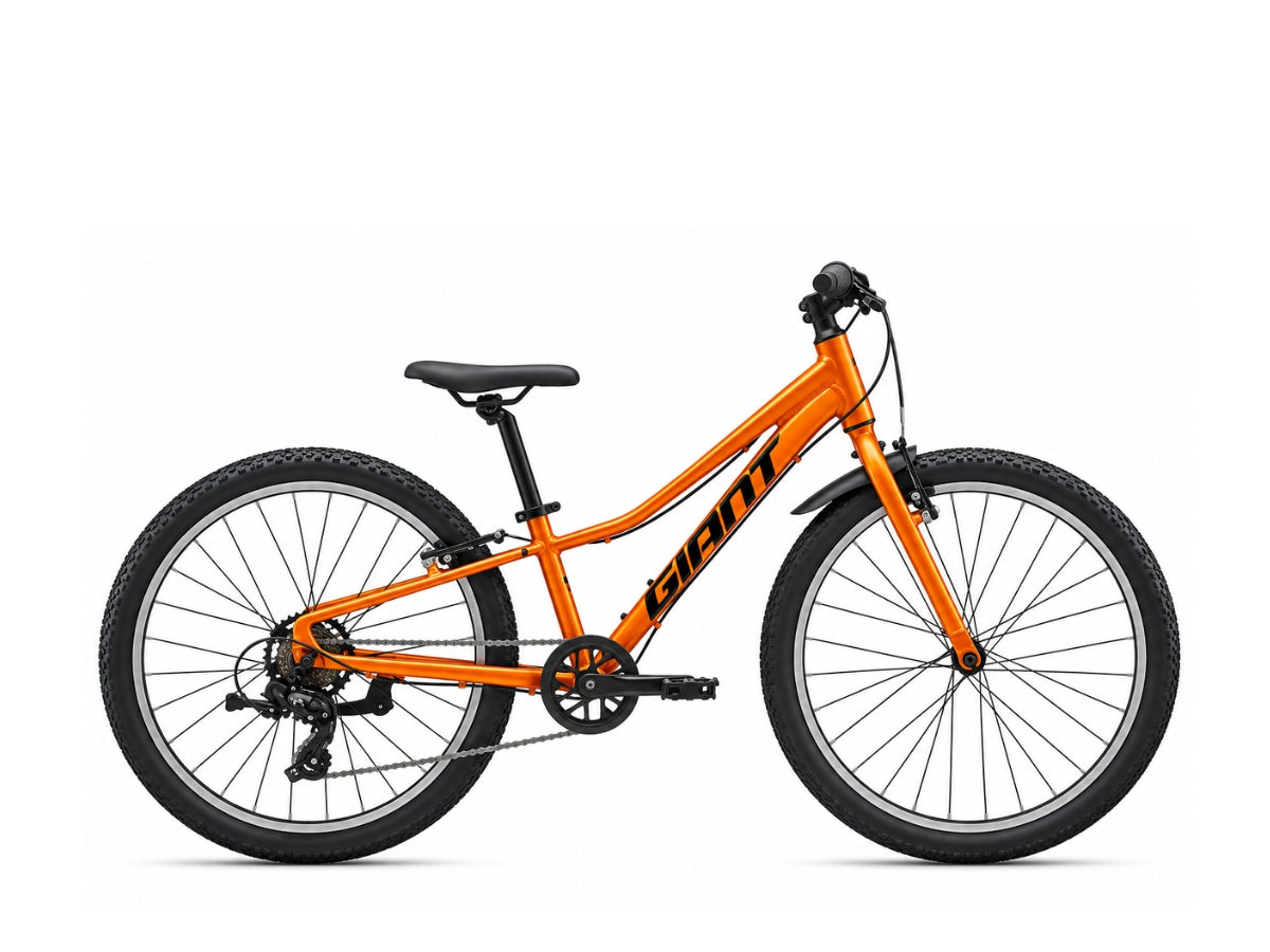 Giant Talon 24 Lite