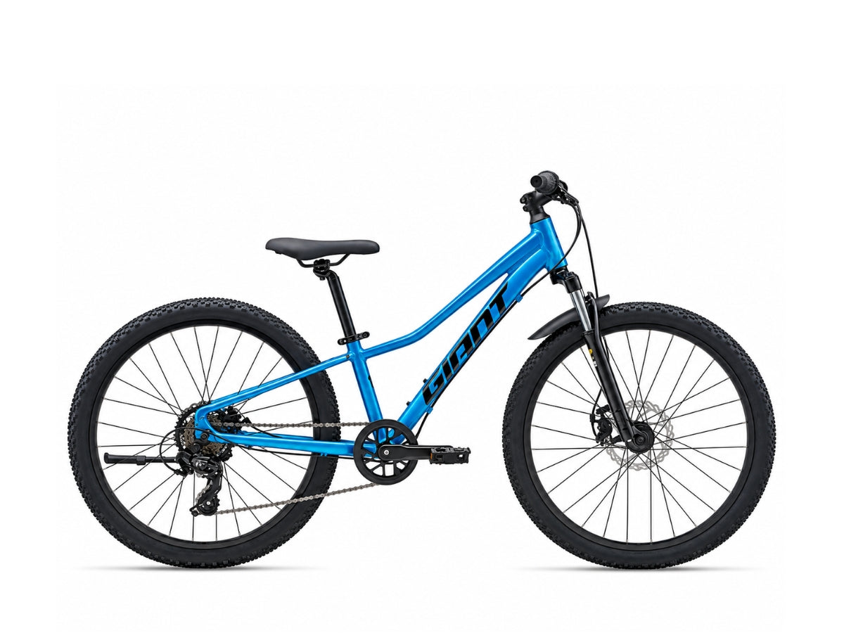 Giant Talon 24 Disc