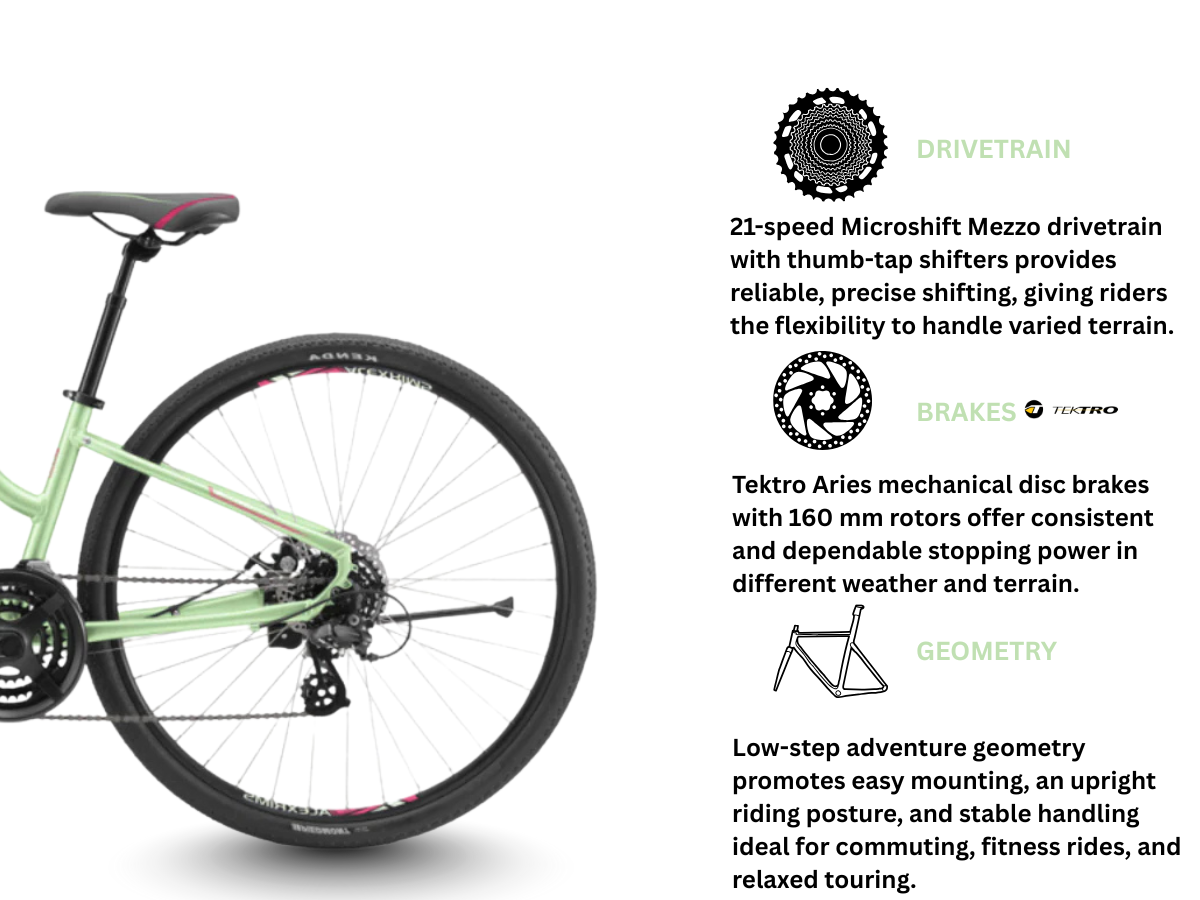 Avanti Discovery MS 1 Low