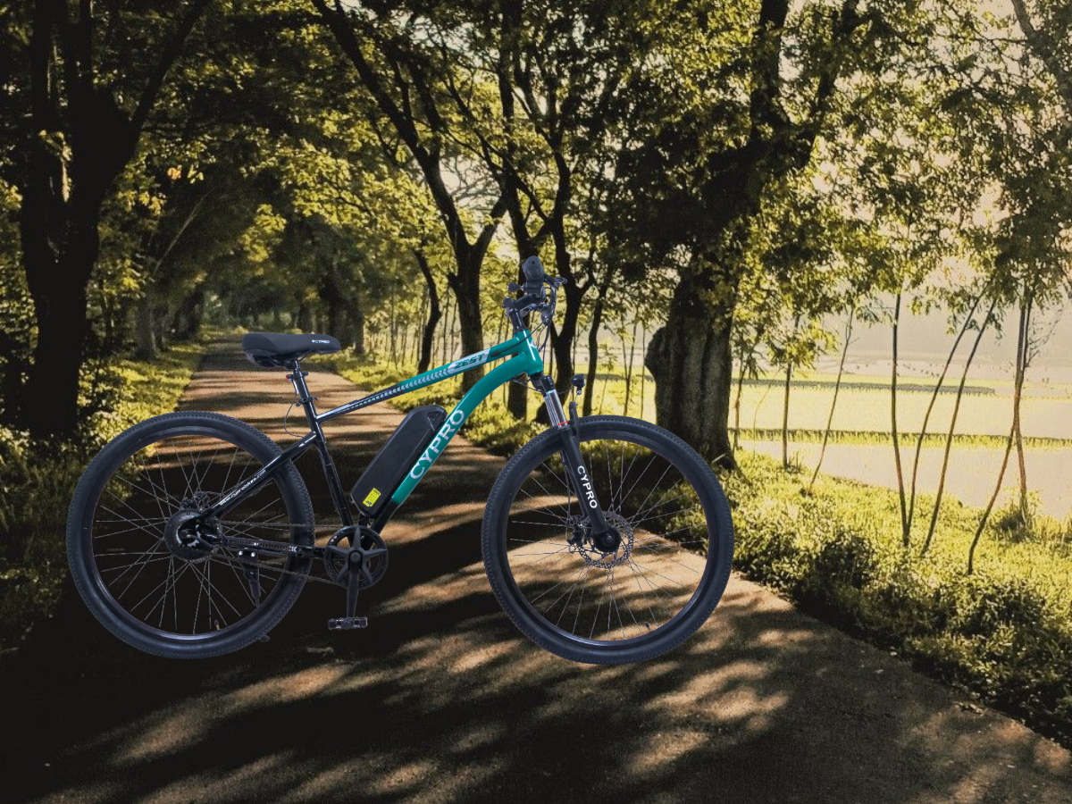 Cypro 27.5 Zest E-Bicycle