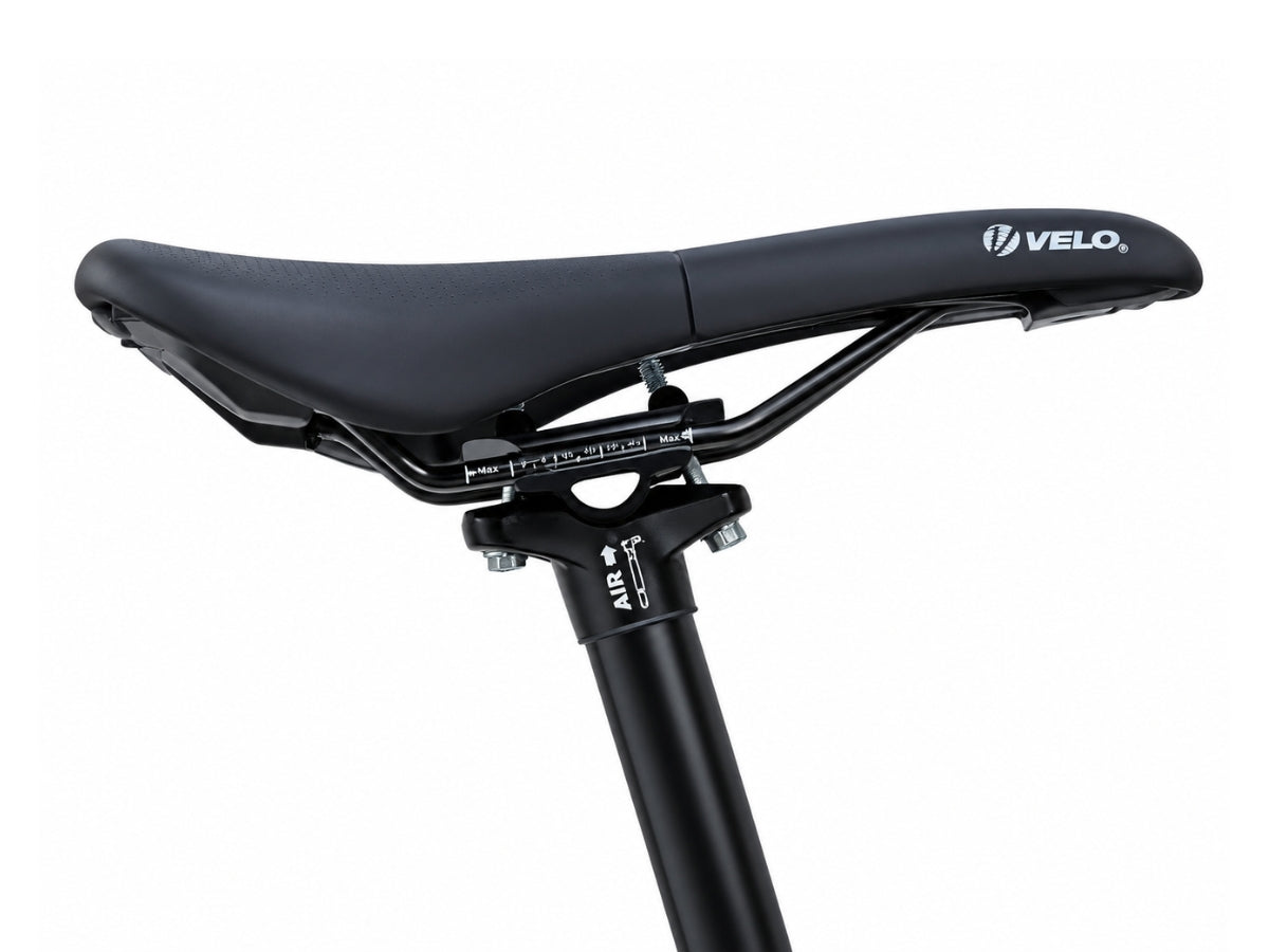 Bonzai Spear12 XC MTB