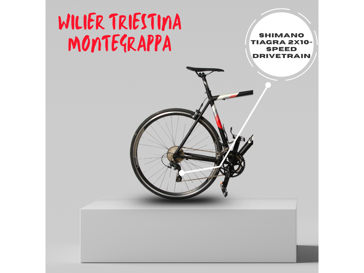 Wilier Triestina Montegrappa Road Alloy Shimano Tiagra