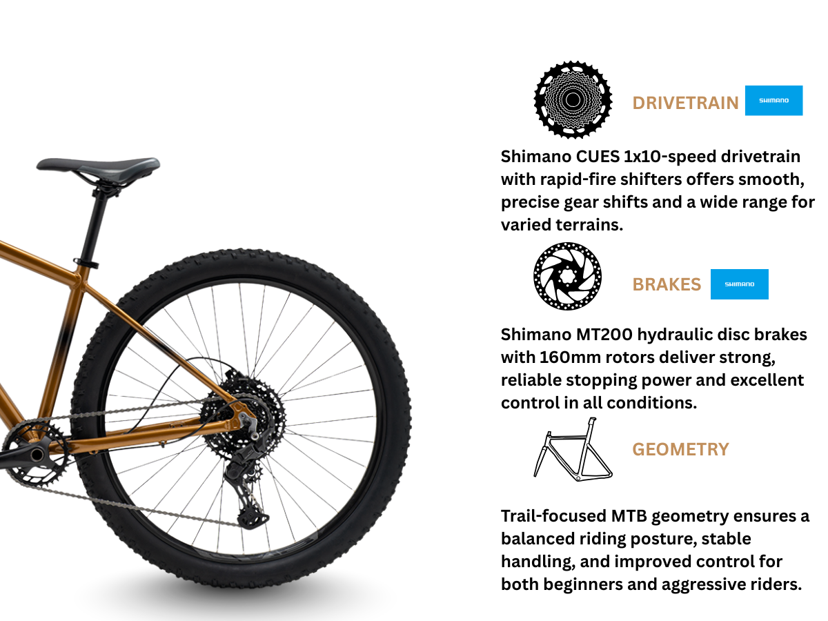 Polygon Cascade 5 29